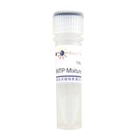 dNTP Mixture (2.5mM each)