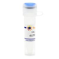 dUTP (100mM)