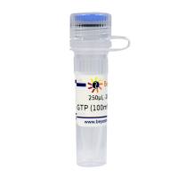 GTP (100mM, Nuclease free)