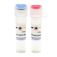 Uracil-DNA Glycosylase (Heat-labile, Bacterium)