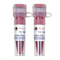 BeyoRed DNA上样缓冲液(6X)