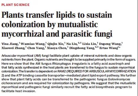 Science | 脂肪酸代谢流如何研究植物白（粉）病？