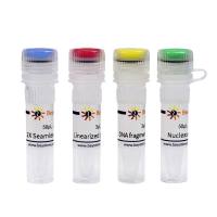 Seamless Cloning Kit (无缝克隆试剂盒, 试用装)