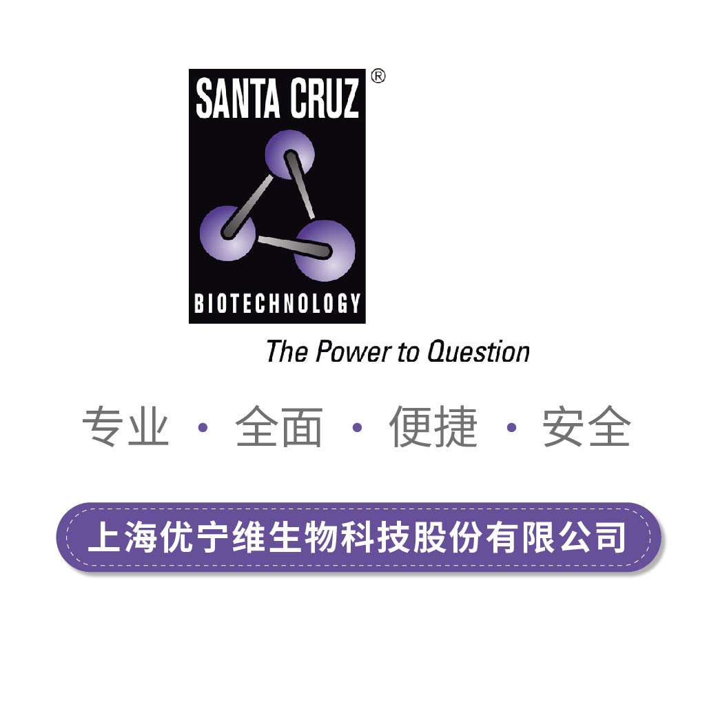 SantaCruz抗体-中国正式代理商-上海优宁维公司