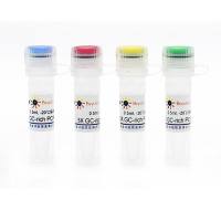 GC-rich PCR Buffer (4种套装)