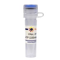 ATP (100mM, Nuclease free)