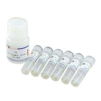 生物素3' 末端DNA标记试剂盒