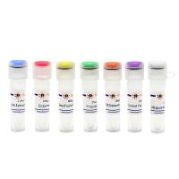 基因组编辑突变检测试剂盒