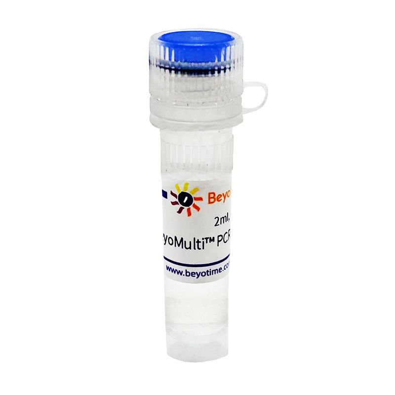 BeyoMulti™ PCR Enhancer (2X)