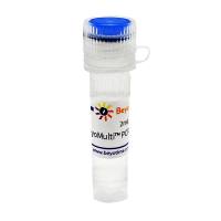 BeyoMulti™ PCR Enhancer (2X)