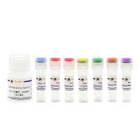 基因组编辑突变检测试剂盒