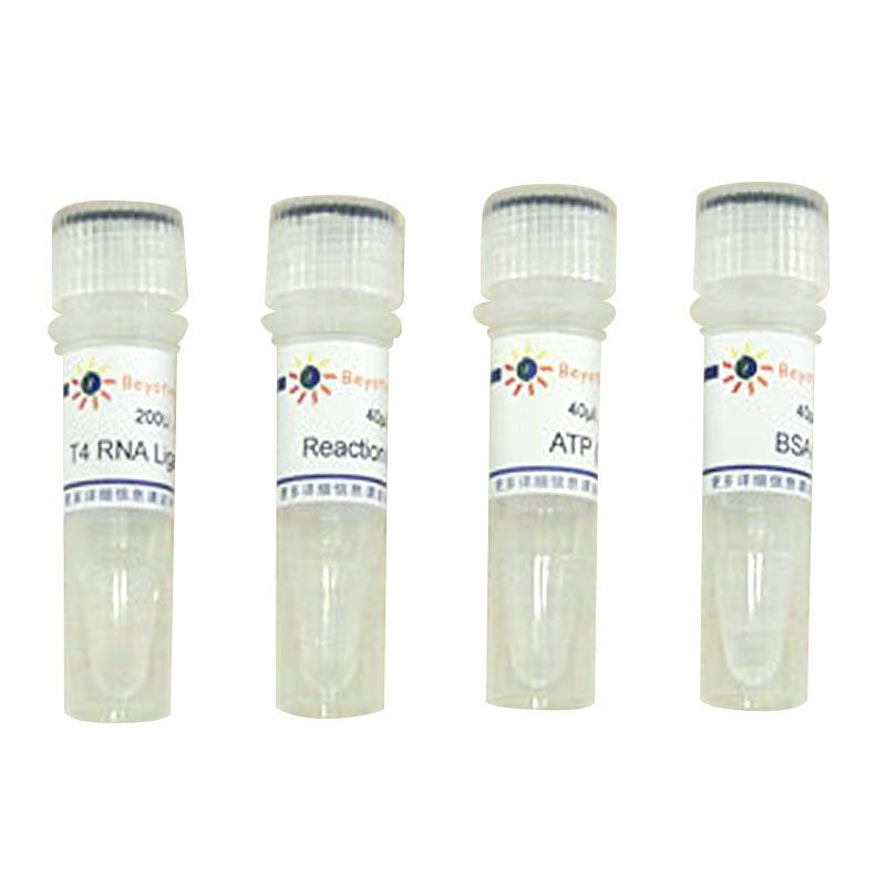 T4 RNA Ligase