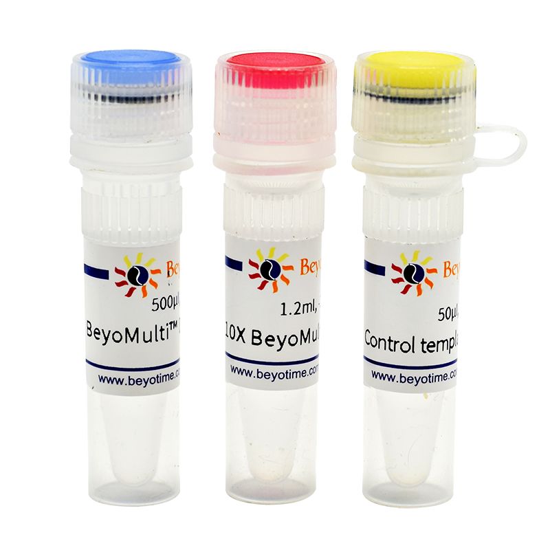 BeyoMulti™多重PCR试剂盒