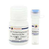 T4 DNA Polymerase