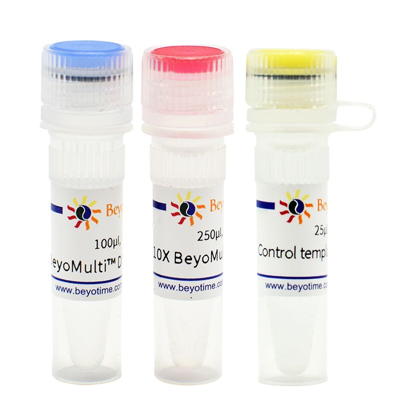 BeyoMulti™多重PCR试剂盒