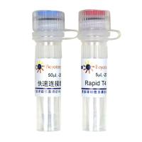 快速DNA连接试剂盒(试用装)