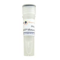 dNTP Mixture (25mM each)