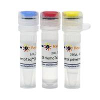 HemoTaq™ DNA Polymerase (Blood-resistant)