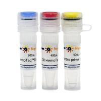 HemoTaq™ DNA Polymerase (Blood-resistant)