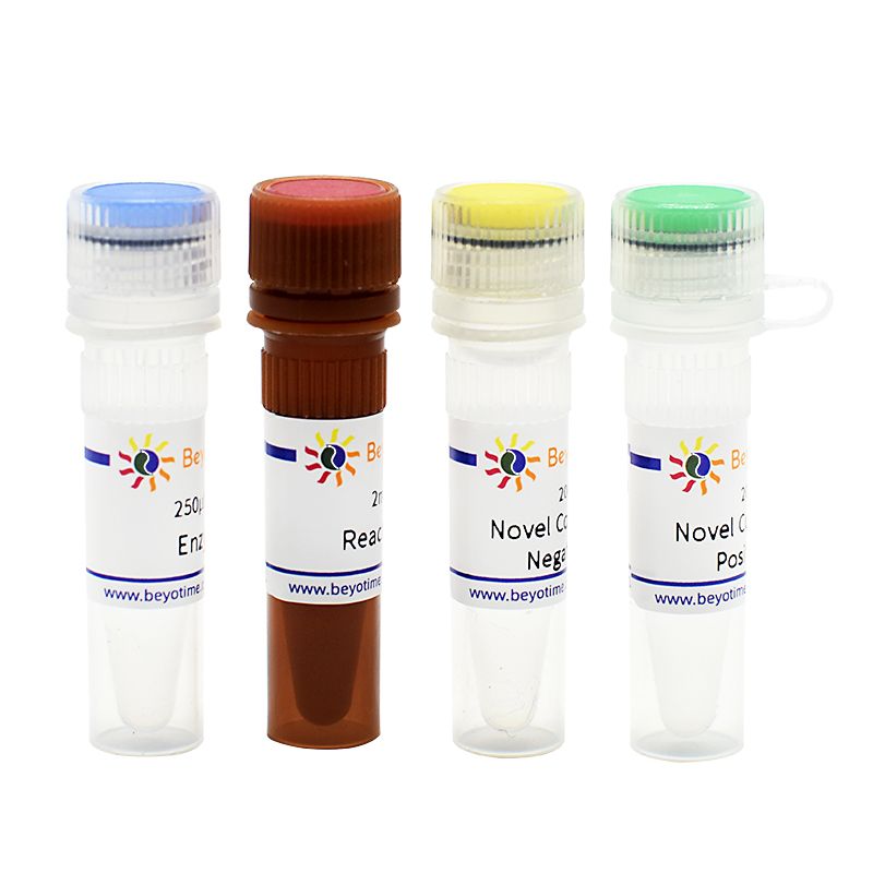 新型冠状病毒(2019-nCoV)双荧光qRT-PCR试剂盒
