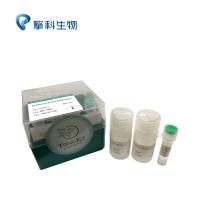 T5 Direct PCR kit (Plus)/多种生物样品的直接扩增，高保真度，极速延伸（10 s/kb）/PCR系列/擎科生物TSINGKE