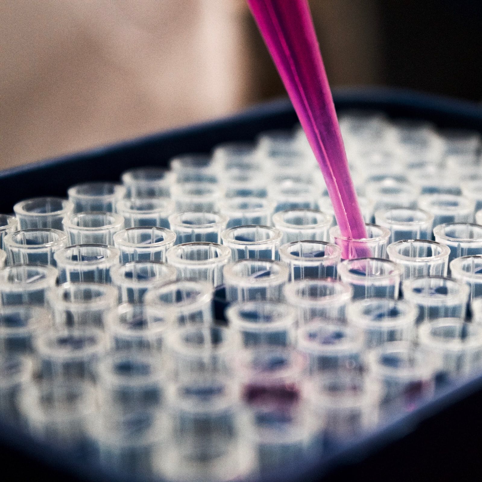 PCR耗材qPCR耗材GUNSTER(台湾钢士特)