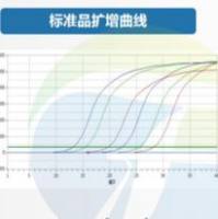 实时荧光定量PCR服务_实时荧光定量pcr检测服务_实验外包