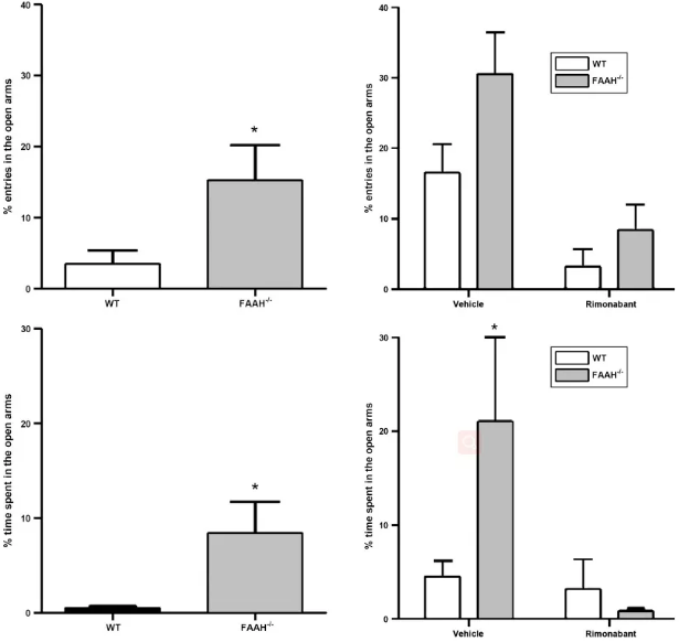 Faah基因敲除小鼠