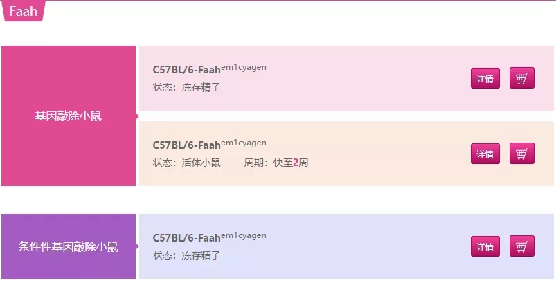 Faah基因敲除小鼠