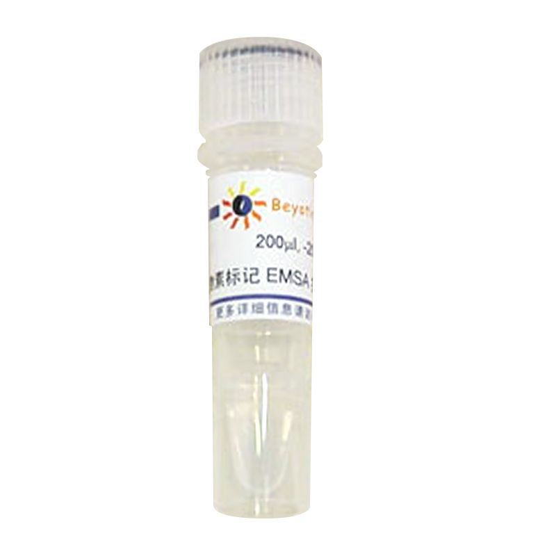 生物素标记EMSA探针－OCT-1 (0.2μM)