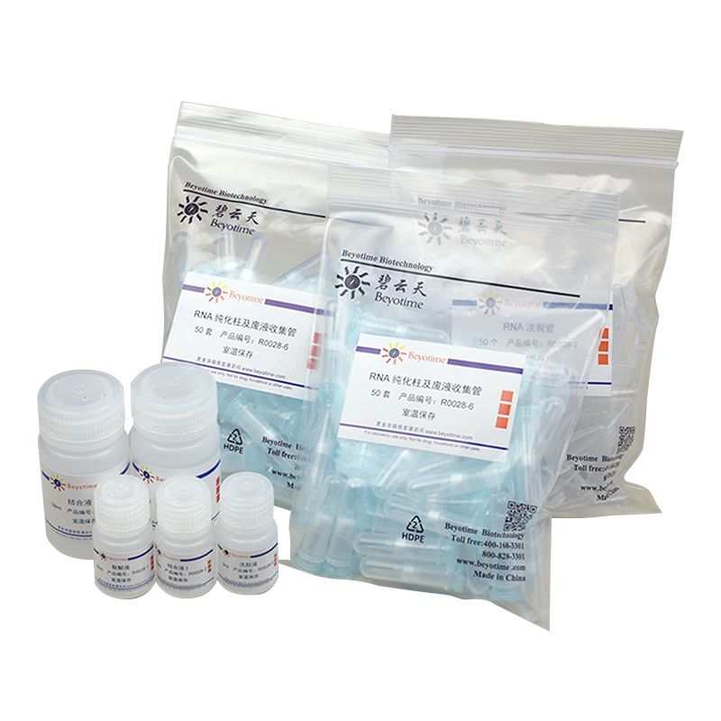 RNAeasy™动物小RNA抽提试剂盒(离心柱式)产品图