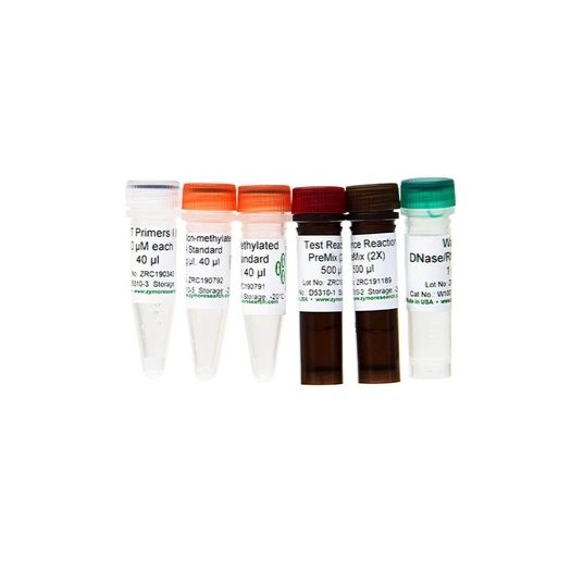 OneStep qMethyl-PCR Kit