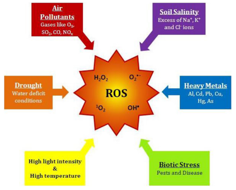 文献速递│动物活体成像系统在前列腺癌治疗研究中的应用
