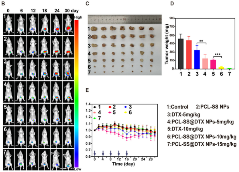 文献速递│动物活体成像系统在前列腺癌治疗研究中的应用