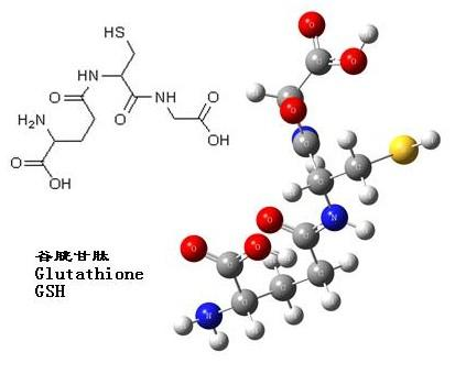 文献速递│动物活体成像系统在前列腺癌治疗研究中的应用