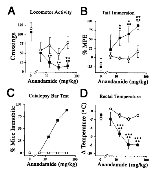 Faah基因敲除小鼠