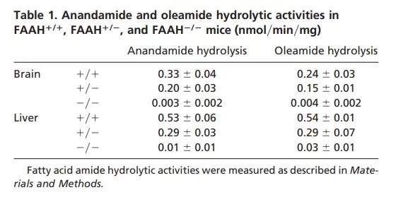 Faah基因敲除小鼠