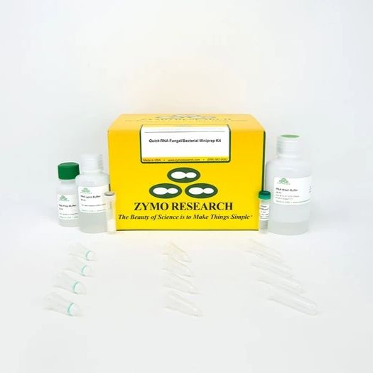 Quick-RNA Fungal/Bacterial Miniprep Kit（真菌/细菌基因组RNA小量提取试剂盒）