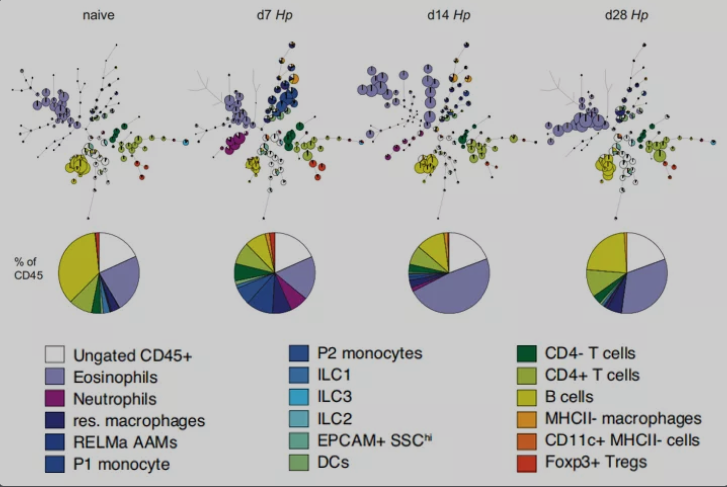 3激光23色：寄生虫感染小鼠肠道免疫高维分析