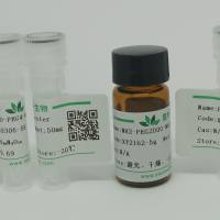 Super Texas Red琥珀酰亚胺酯  荧光染料