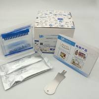 LabPAGE 12% 15 Wells(蛋白预制胶) 