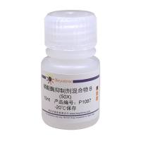 磷酸酶抑制剂混合物B (50X)