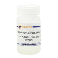 植物Western及IP细胞裂解液