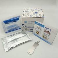 LabPAGE 4-12％ 15 Wells (蛋白预制胶）