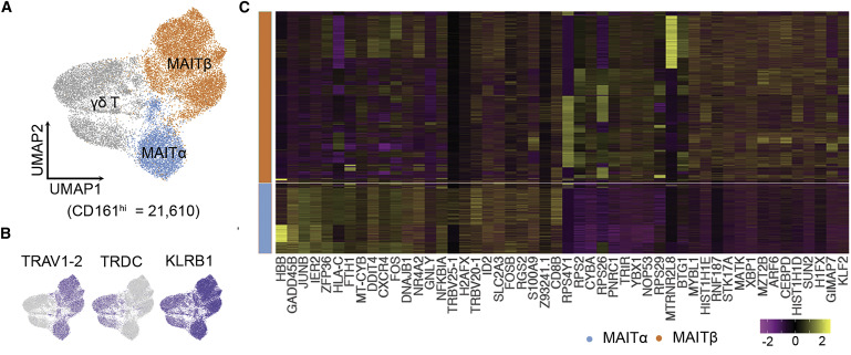 全光谱流式联合单细胞RNA测序，COVID-19免疫防御深度解析
