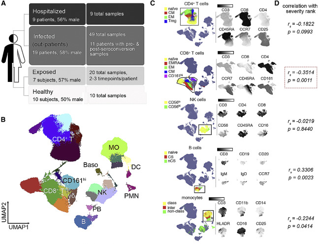 全光谱流式联合单细胞RNA测序，COVID-19免疫防御深度解析