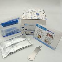 LabPAGE 10% 15 Wells(蛋白预制胶)