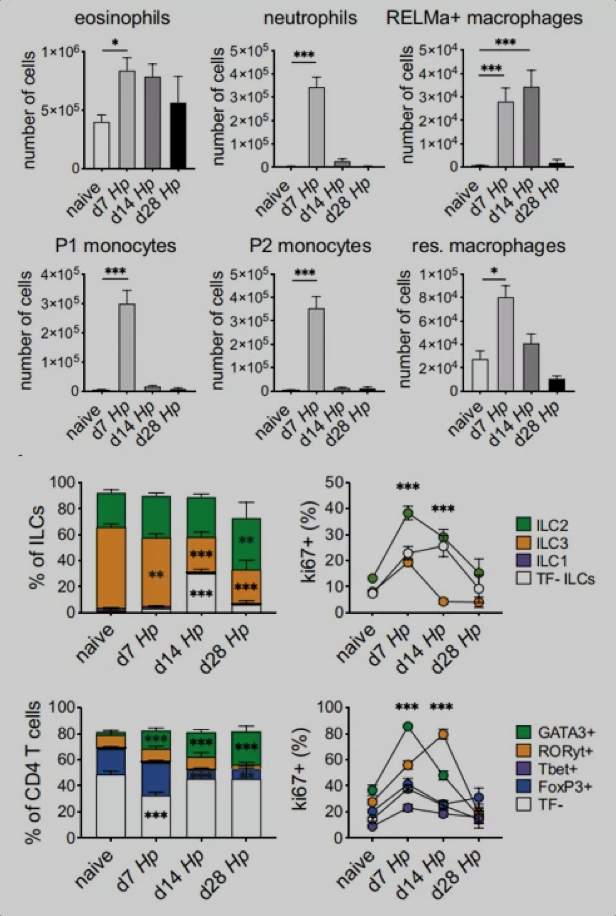 3激光23色：寄生虫感染小鼠肠道免疫高维分析