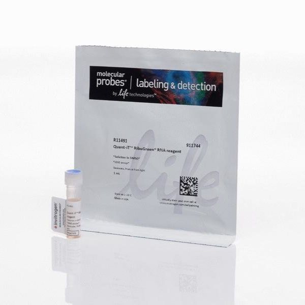Quant-iT™ RiboGreen®  RNA Reagent（RNA定量检测试剂）