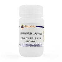 RIPA裂解液(强, 无抑制剂)